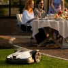 HUSQVARNA Automower 430V NERA robotplæneklipper