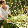 STIHL HSA 26 Busktrimmer - Med batteri og laderhsa 