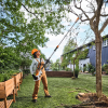 STIHL HTA 30 Stangsav - Med batteri og lader