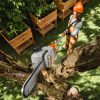 STIHL HTA 30 Stangsav - Med batteri og lader