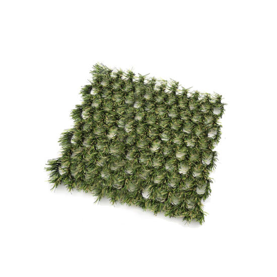 NGP Hybridgræs main product photo