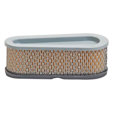 B&S Luftfilter (493910 / 691667)