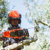 ECHO CS-2511WES Motorsav