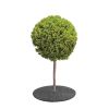 NGP Tree-Cover Ø 30 cm